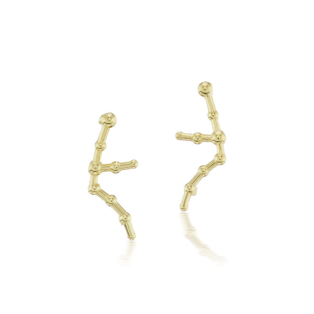 Aquarius Constellation Gold Stud Earrings