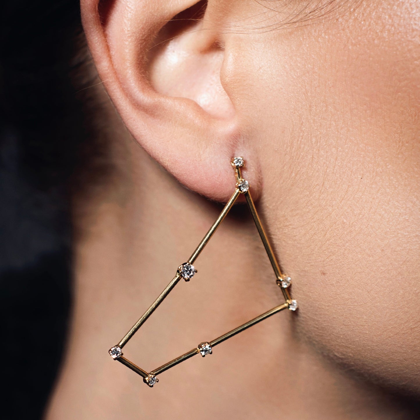 
                  
                    Capricorn Constellation Earring (Large, Single)
                  
                