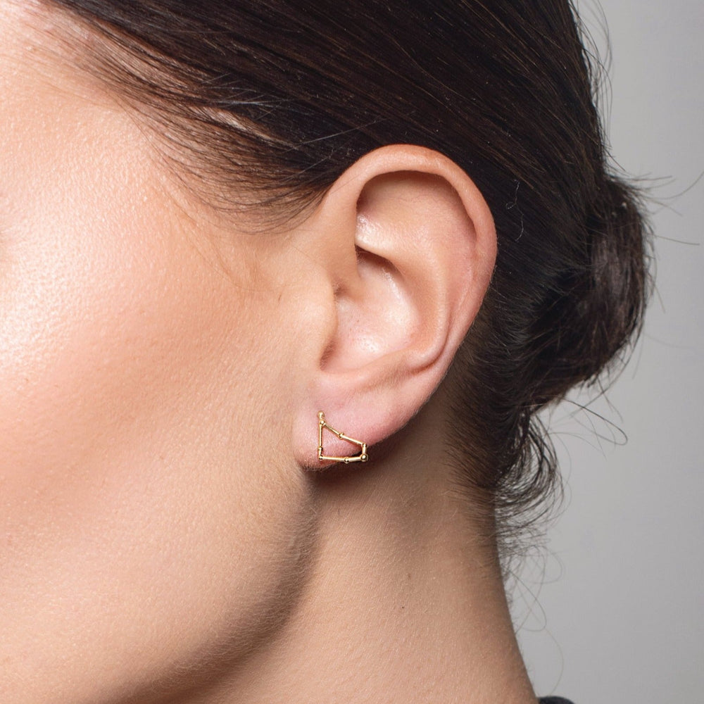 
                  
                    Capricorn Constellation Gold Stud Earrings
                  
                