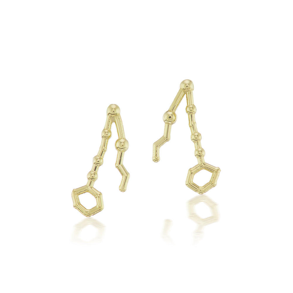 Pisces Constellation Gold Stud Earrings